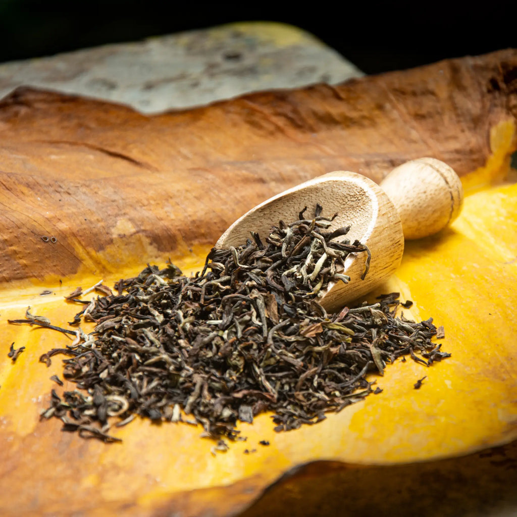 PREMIUM GOLDEN BROKEN ORANGE PEKOE