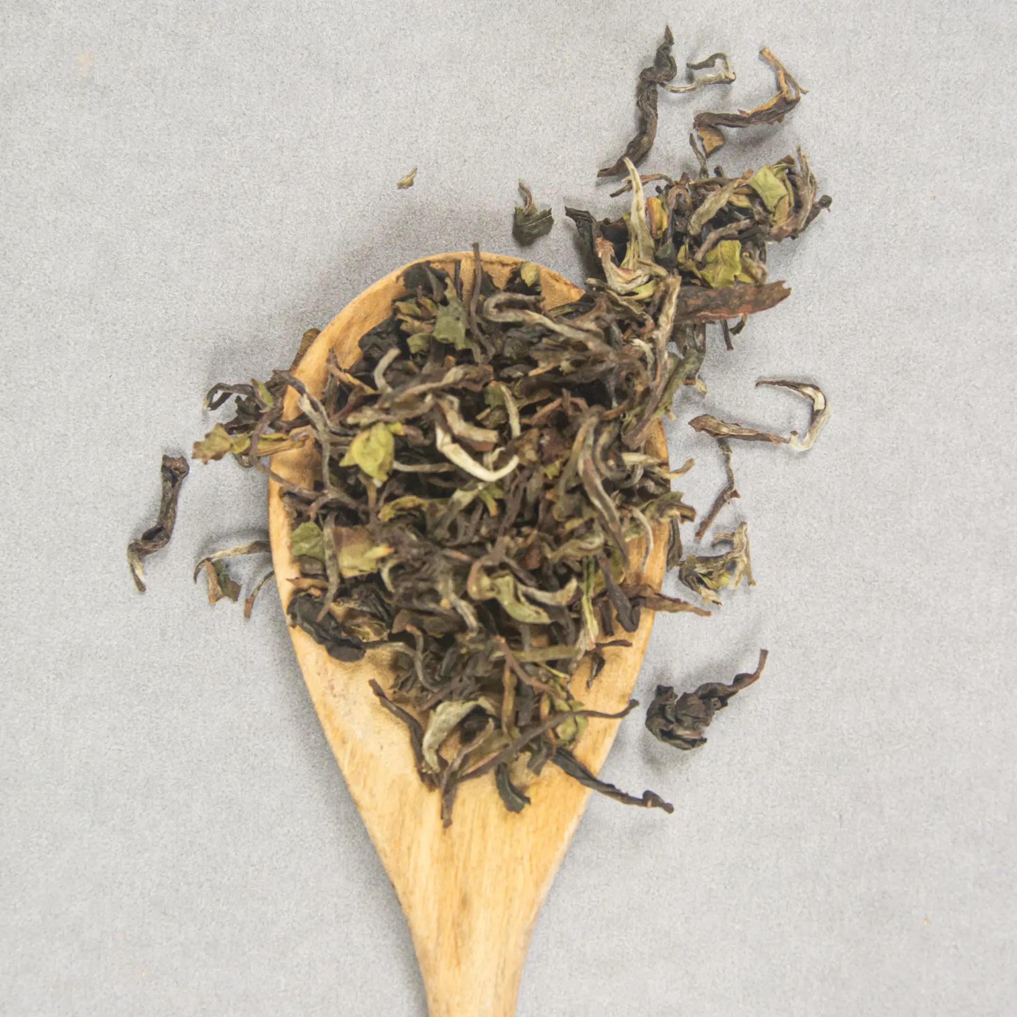 CLONAL QUEEN