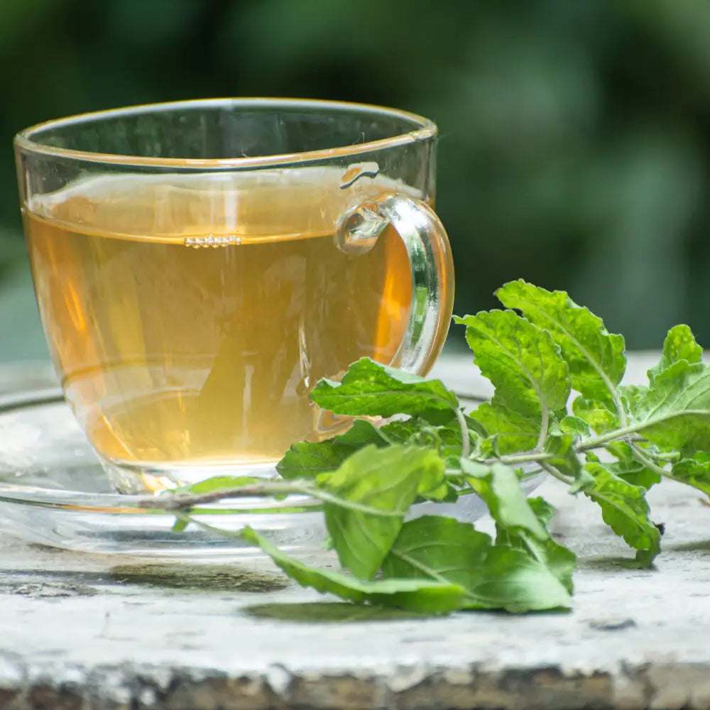TULSI GREEN